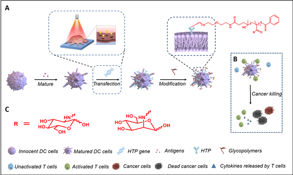 与陈红教授合作在Sci. Adv.发表含