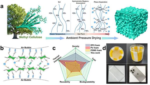 博士研究生葛汝飞研究论文被《Carb