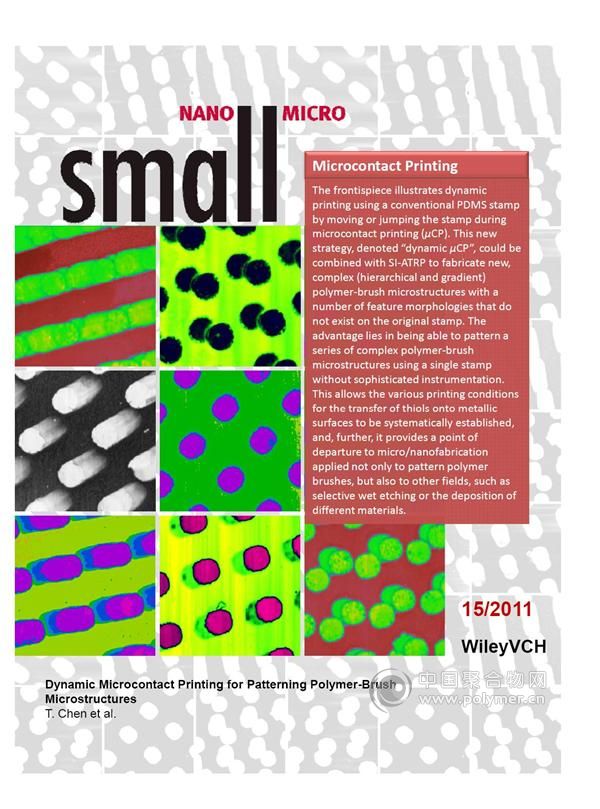 Frontispiece in Small in the com